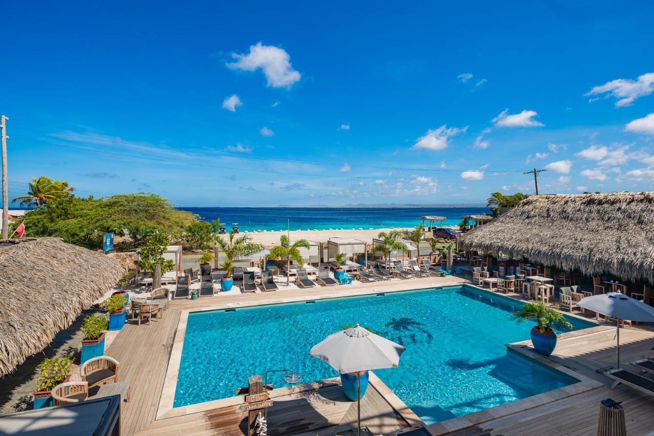 Bloozz Resort Bonaire Playa Eksteriør billede