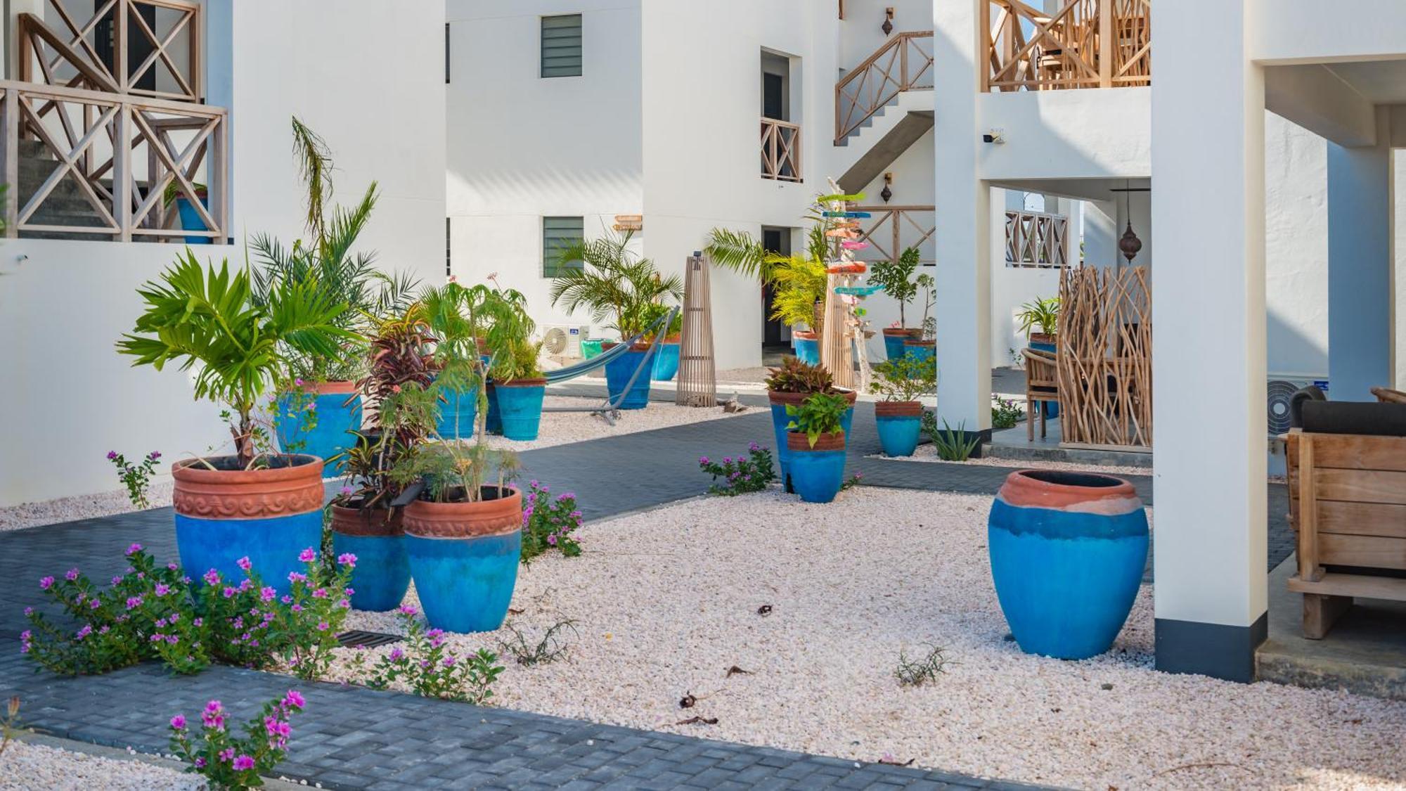 Bloozz Resort Bonaire Playa Eksteriør billede
